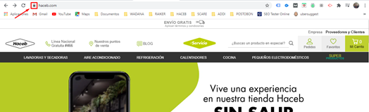 Cómo borrar cookies 1