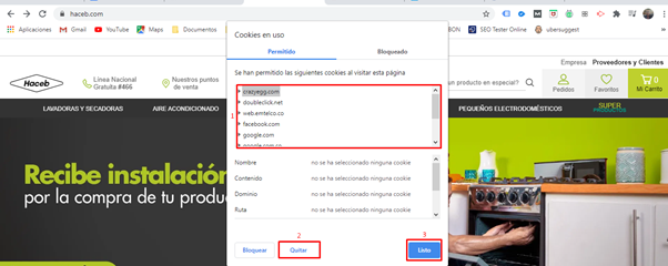Cómo borrar cookies 3